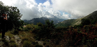 Carrara Pano